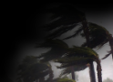 Florida Hurricane Season